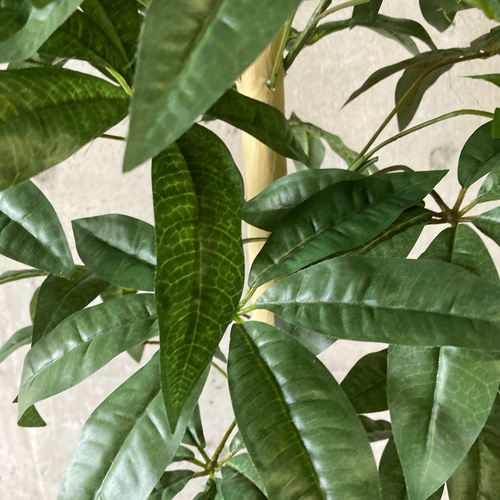 光触媒 人工観葉植物 ウォールグリーン フェイクグリーン パキラ12562