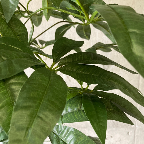 光触媒 人工観葉植物 ウォールグリーン フェイクグリーン パキラ12562