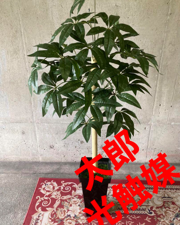 【良好品】 光触媒 人工観葉植物 ウォールグリーン フェイクグリーン パキラ フラワー・リース