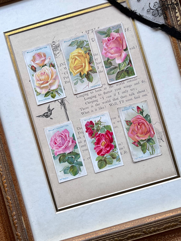 再販)英国で出会った♪ 1910年代 アンティーク バラのシガレットカード <薔薇6枚セット> 8枚目の画像