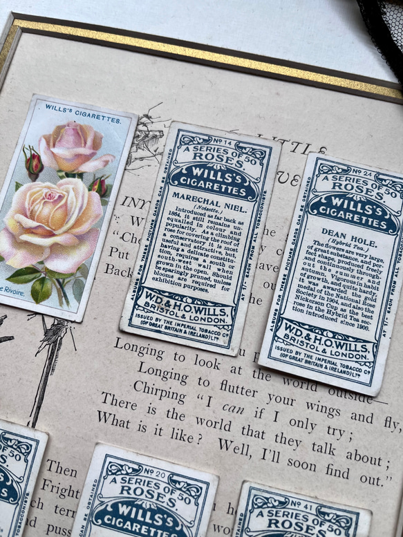 再販)英国で出会った♪ 1910年代 アンティーク バラのシガレットカード <薔薇6枚セット> 10枚目の画像