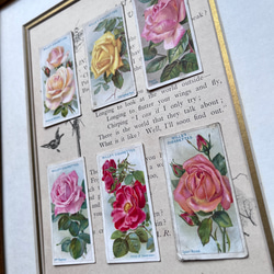 再販)英国で出会った♪ 1910年代 アンティーク バラのシガレットカード <薔薇6枚セット> 3枚目の画像