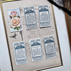 再販)英国で出会った♪ 1910年代 アンティーク バラのシガレットカード <薔薇6枚セット> 9枚目の画像