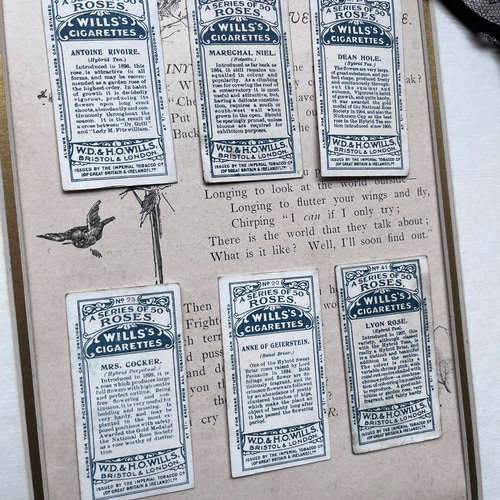 アンティークカード、1910年　亜鉛版刷りのもの 60e5191331e9c51e50edabcf275485