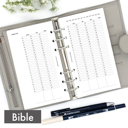 バイカルテ★CH★本体（セット済・残量約7割）+リフィル（新品未使用）1300ｇ システム手帳用リフィル バイブルサイズ 1日計画表(DAILY PLAN24h