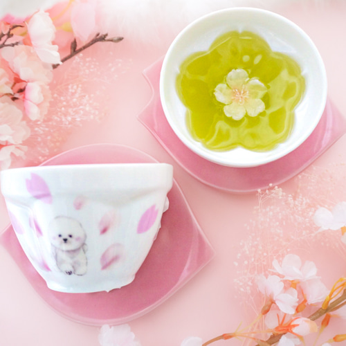 桜のお花が浮かび上がる湯呑み〜溢れ桜〜ビションフリーゼver