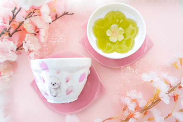 桜のお花が浮かび上がる湯呑み〜溢れ桜〜ビションフリーゼver