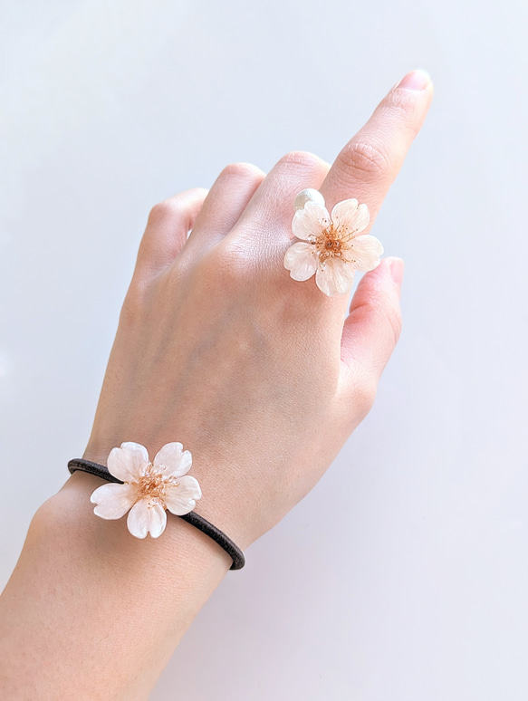 【受注制作】Everpink. 本物の桜ひとひら　厳選花で仕上げるコットンパールのワイヤーリング／指輪　フリーサイズ 10枚目の画像