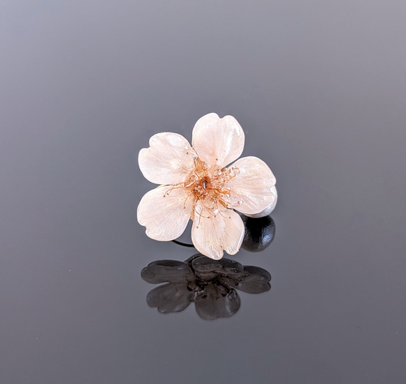 【受注制作】Everpink. 本物の桜ひとひら　厳選花で仕上げるコットンパールのワイヤーリング／指輪　フリーサイズ 4枚目の画像
