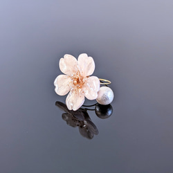 【受注制作】Everpink. 本物の桜ひとひら　厳選花で仕上げるコットンパールのワイヤーリング／指輪　フリーサイズ 1枚目の画像