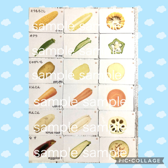 野菜　果物　断面カード① 理科　お受験　知育　療育 10枚目の画像