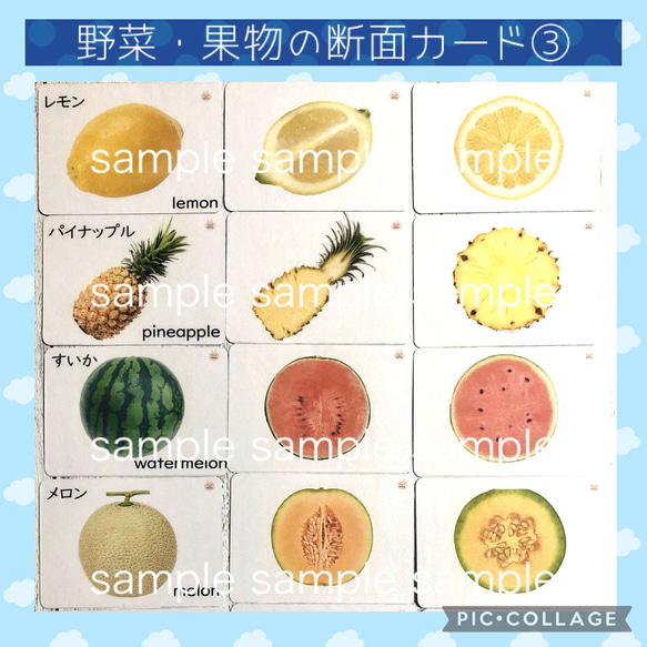 野菜 果物 断面カード③ 理科 お受験 療育 知育 脳トレ おもちゃ