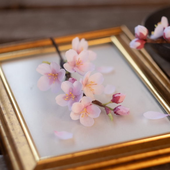 春 の 桜 ソメイヨシノ の 布花 コサージュ 4枚目の画像