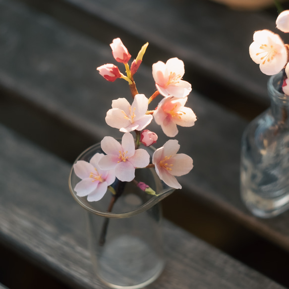 春 の 桜 ソメイヨシノ の 布花 コサージュ　2024 7枚目の画像