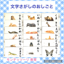 ぴ　理科的常識一覧表６種＋2種　まとめセット 理科的常識表 6種セット 小学校受験 家庭学習 おもちゃ・人形 may