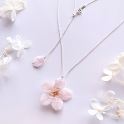 【受注制作】【SV925】Everpink. 本物の桜　厳選花で仕上げたソメイヨシノと花びらのネックレス　スライドボール 1枚目の画像