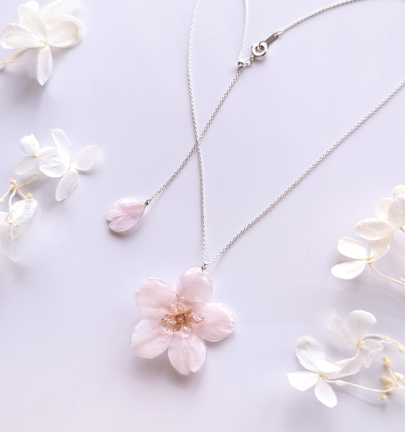 【受注制作】【SV925】Everpink. 本物の桜　厳選花で仕上げたソメイヨシノと花びらのネックレス　スライドボール 1枚目の画像