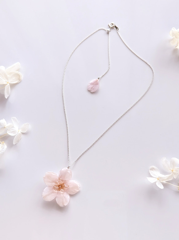 【受注制作】【SV925】Everpink. 本物の桜　厳選花で仕上げたソメイヨシノと花びらのネックレス　スライドボール 2枚目の画像