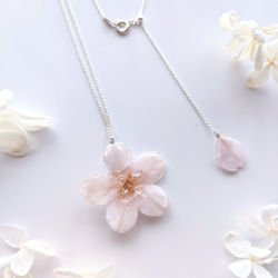 【受注制作】【SV925】Everpink. 本物の桜　厳選花で仕上げたソメイヨシノと花びらのネックレス　スライドボール 3枚目の画像