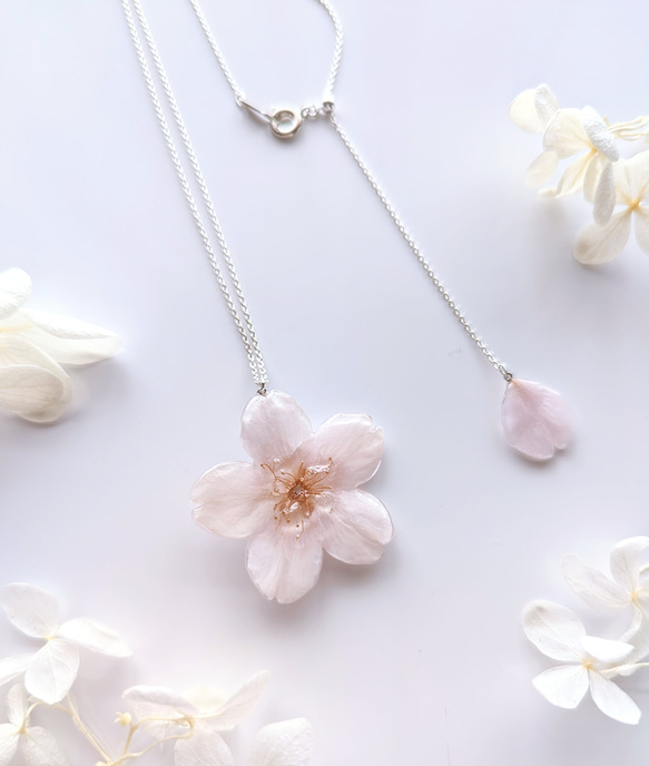 【受注制作】【SV925】Everpink. 本物の桜　厳選花で仕上げたソメイヨシノと花びらのネックレス　スライドボール 3枚目の画像