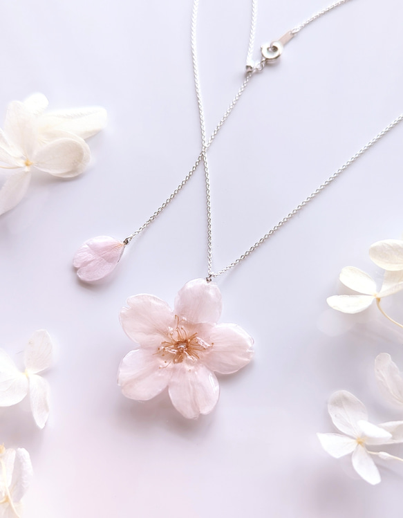 【受注制作】【SV925】Everpink. 本物の桜　厳選花で仕上げたソメイヨシノと花びらのネックレス　スライドボール 7枚目の画像