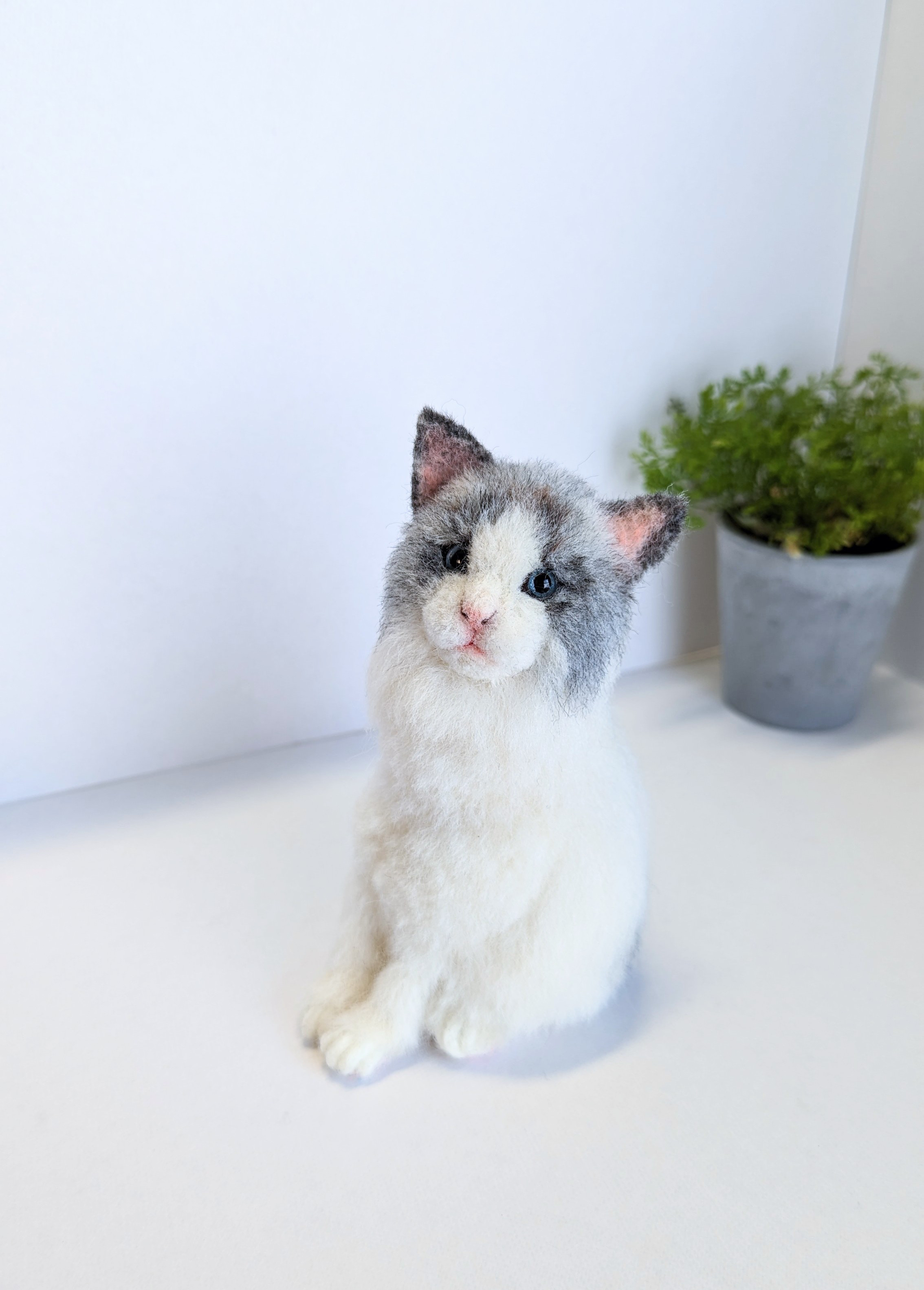 ＊racsica＊ ねこ　置物　癒し 羊毛フェルト　猫　ラグドール　くつろぎ　ハート形ミニクッション付き