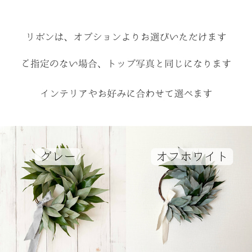 シロダモのシンプルグリーンのハーフリース｜ドライフラワーリースに