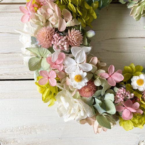 ラナンキュラスのかわいいリース リース Rosa Cherry 通販