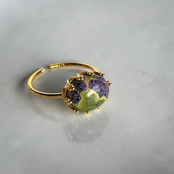 Atlantisite Ring【gift box】123 3枚目の画像