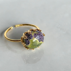 Atlantisite Ring【gift box】123 1枚目の画像