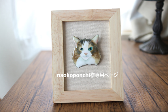 naokoponchi様専用ページ 1枚目の画像