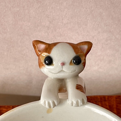 猫取っ手マグ(茶白猫)『猫のマグカップ』 2枚目の画像