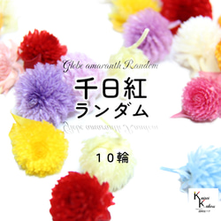 地球農場！永生花「千日市集 11 色隨機 10 朵花」Chikkou 頭限定 Preza 花材料 第1張的照片