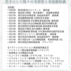 小石原焼 小石原焼き シチュー皿 カレー皿 スープ皿 ２色から選ぶ あめ釉 白マット 深皿 中皿 飛び鉋 森山實山窯 5枚目の画像