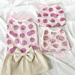【NEW】  いちごの初恋 ワンピース  ピンク生地  犬服 ドッグウェア いちご 苺 6枚目の画像