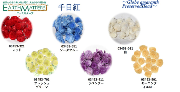 地球農場！永生花「千日市集 11 色隨機 150 朵花」Chikkou 頭限定 Preza 花材料 第9張的照片