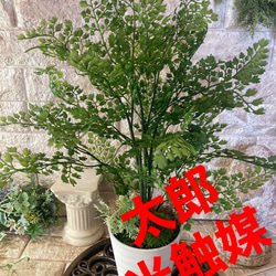 光触媒　人工観葉植物　ウォールグリーン　フェイクグリーン　ウンベラータ180 光触媒 人工観葉植物 ウォールグリーン フェイクグリーン