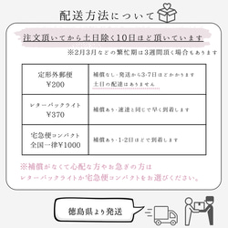 春色新作2024 満開のミモザのピアス イヤリング 金属アレルギー対応 11枚目の画像