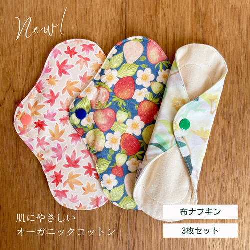 3枚セット 布ナプキン おりもの 防水 オーガニックコットン Sサイズ 