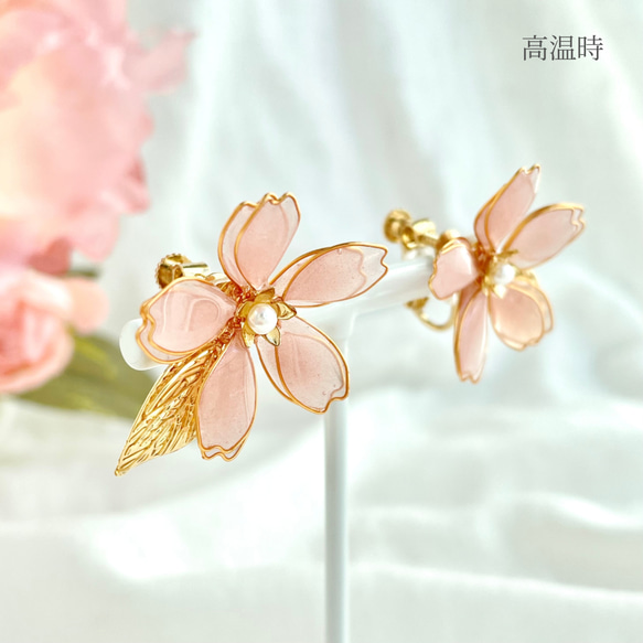 色が変わる零れ桜のイヤリング/ピアス ٭❀*ぷっくり透明感が大人綺麗・シンプル 華やか 軽い 大ぶり 春コーデ 7枚目の画像