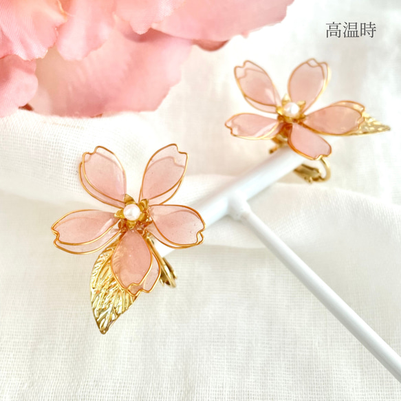 色が変わる零れ桜のイヤリング/ピアス ٭❀*ぷっくり透明感が大人綺麗・シンプル 華やか 軽い 大ぶり 春コーデ 5枚目の画像