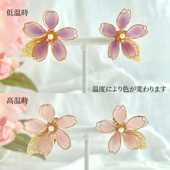 色が変わる零れ桜のイヤリング/ピアス ٭❀*ぷっくり透明感が大人綺麗・シンプル 華やか 軽い 大ぶり 春コーデ 3枚目の画像