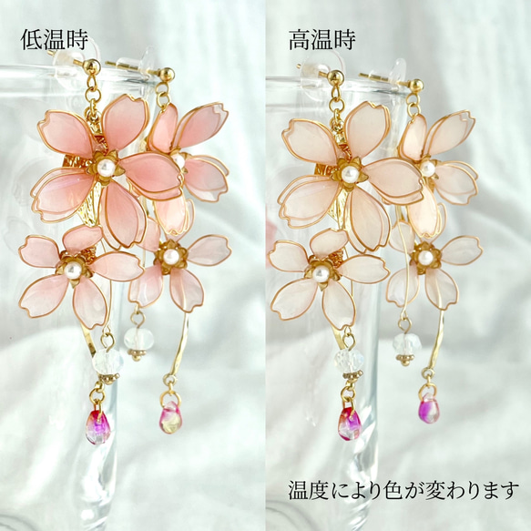 色が変わる枝垂れ桜のイヤリング/ピアス ٭❀* 揺れる大人可愛い 華やか 軽い 大ぶり 春コーデ 3枚目の画像