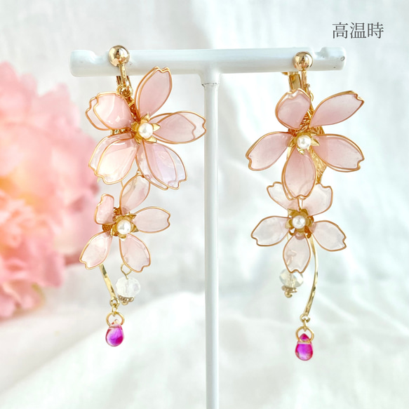 【特集】色が変わる枝垂れ桜のピアス/イヤリング ٭❀* 揺れる大人可愛い 華やか 軽い 大ぶり 春コーデ 9枚目の画像