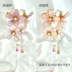 【特集】色が変わる枝垂れ桜のピアス/イヤリング ٭❀* 揺れる大人可愛い 華やか 軽い 大ぶり 春コーデ 4枚目の画像