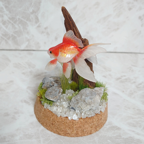 一点物〙【お部屋のインテリアに！】いつでも眺めて癒される 金魚