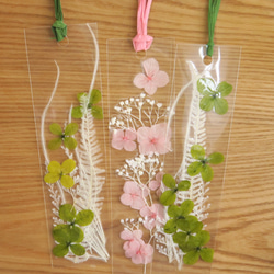 桜色の栞、幸せのクローバーの栞、純白の栞の3品組み合わせ自由♫⭐︎プリザーブドフラワー使用⭐︎値下げしました！ 16枚目の画像