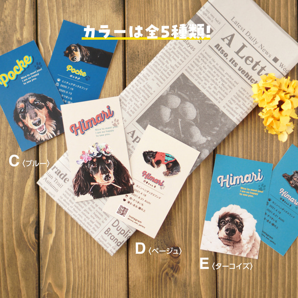 名刺〈アメカジstyle〉★犬猫 うちの子 ★100枚入 ★オーダーメイド ★オフ会の交流に大活躍！ 9枚目の画像