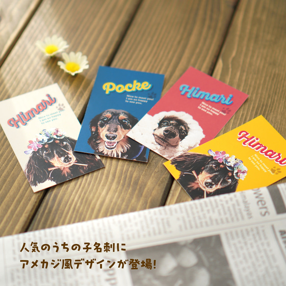 名刺〈アメカジstyle〉★犬猫 うちの子 ★100枚入 ★オーダーメイド ★オフ会の交流に大活躍！ 2枚目の画像