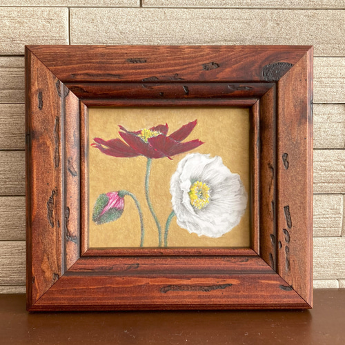 ビバリージーン作「オリエンタルポピー」プリント　額縁付き ポピー（ミニ額縁入り 鉛筆とアクリル絵の具による原画） 絵画